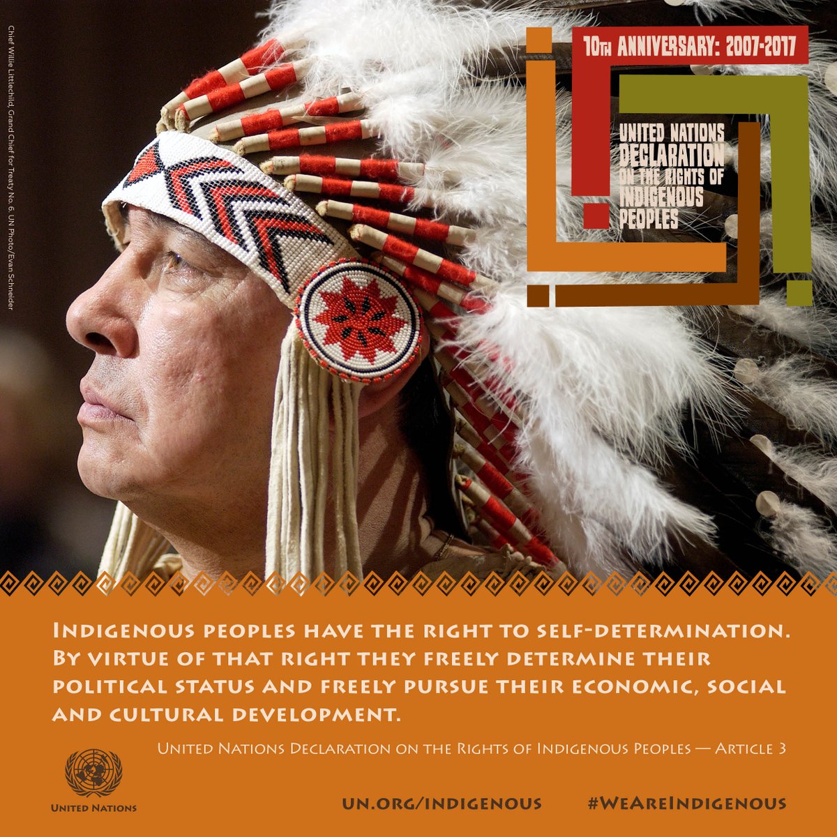 United Nations Declaration on the rights of indigenous peoples poster