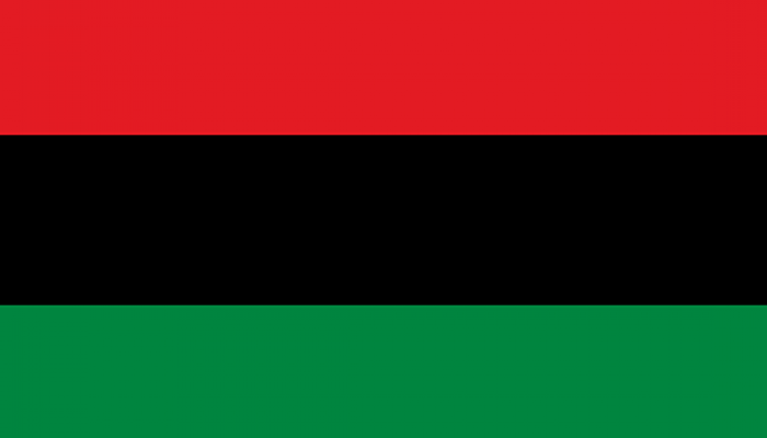 the red black and green pan-African flag