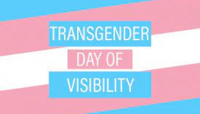 stylized text over a blue pink purple and white transgender flag says Day for Transgender Visibility