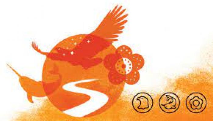 orange graphic featuring wing, a horn, flower and narwhala 