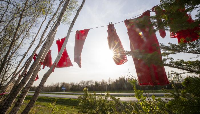 red dresses hang on a line strung between trees backlit by the sun