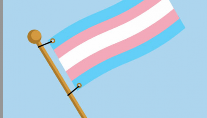 graphic illustration of a transgender rights flag