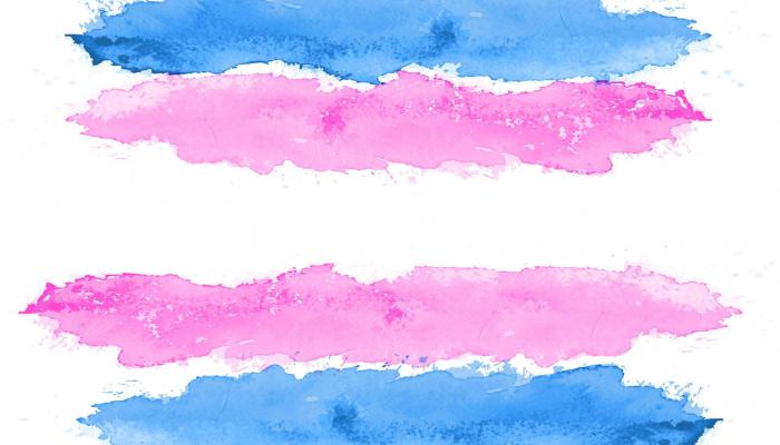 a stylized transgender flag represenmted by paintbrush stokes in blue pink purple and shite